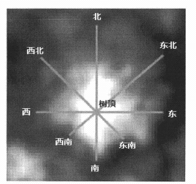 Method for automatically extracting forest stand upper layer tree parameters from LiDAR point cloud data