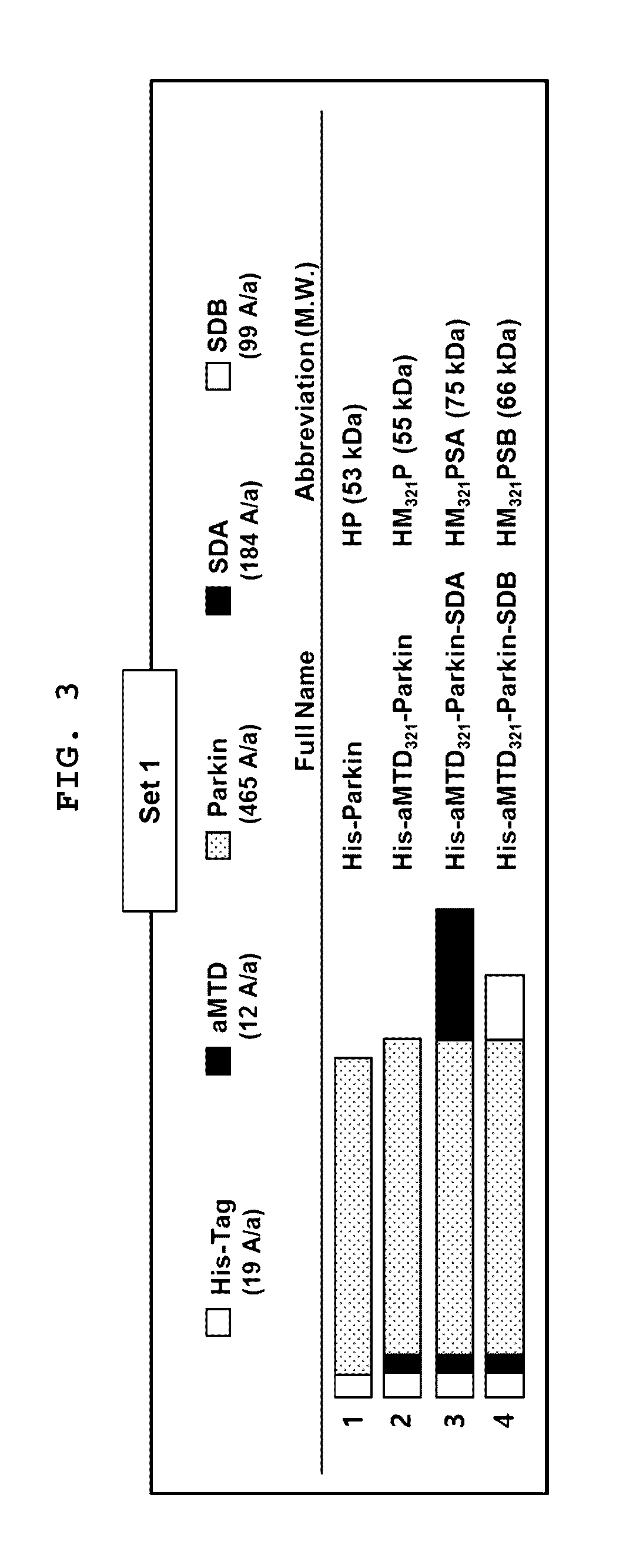 Development of Improved Cell-Permeable (iCP) Parkin Recombinant Protein as a Protein-Based Anti-Neurodegenerative Agent for the Treatment of Parkinson's Disease-Associated Phenotypes by Utilizing BBB-Penetrating Protein Delivery System MITT, Enabled by Advanced Macromolecule Transduction Domain (aMTD)