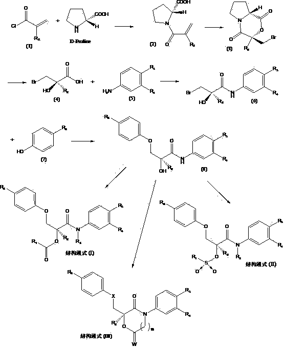 Novel ester group-containing aromatic propionamide compound as well as preparation method and application thereof