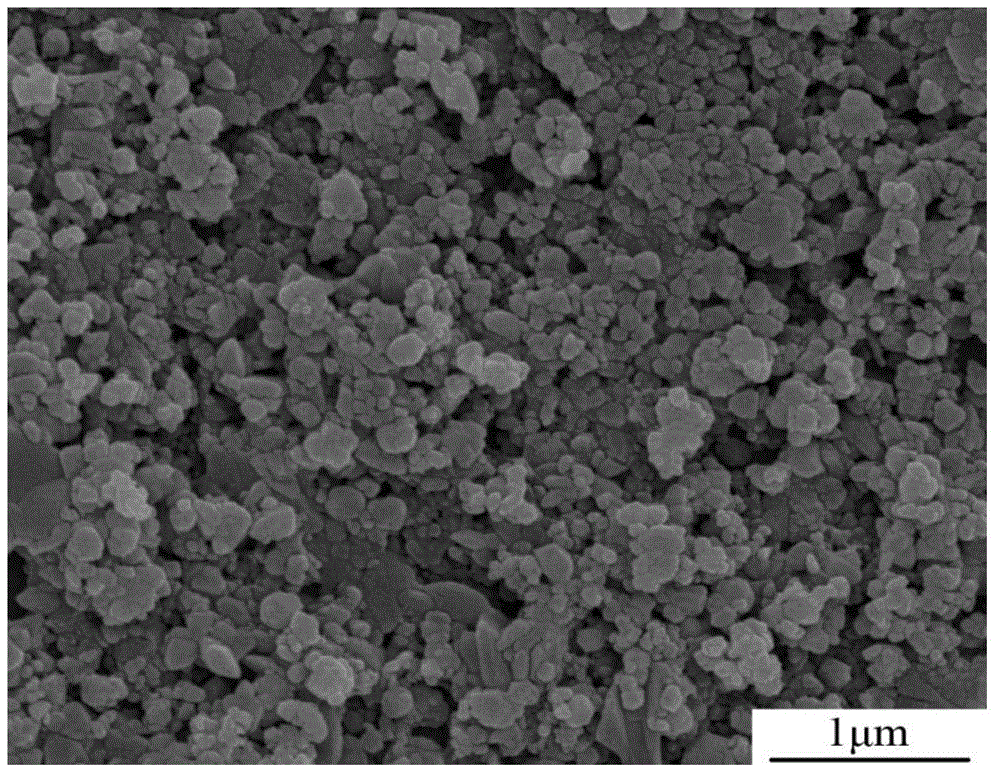 Method for preparing ferrous disulfide film by chemical bath deposition and vulcanization