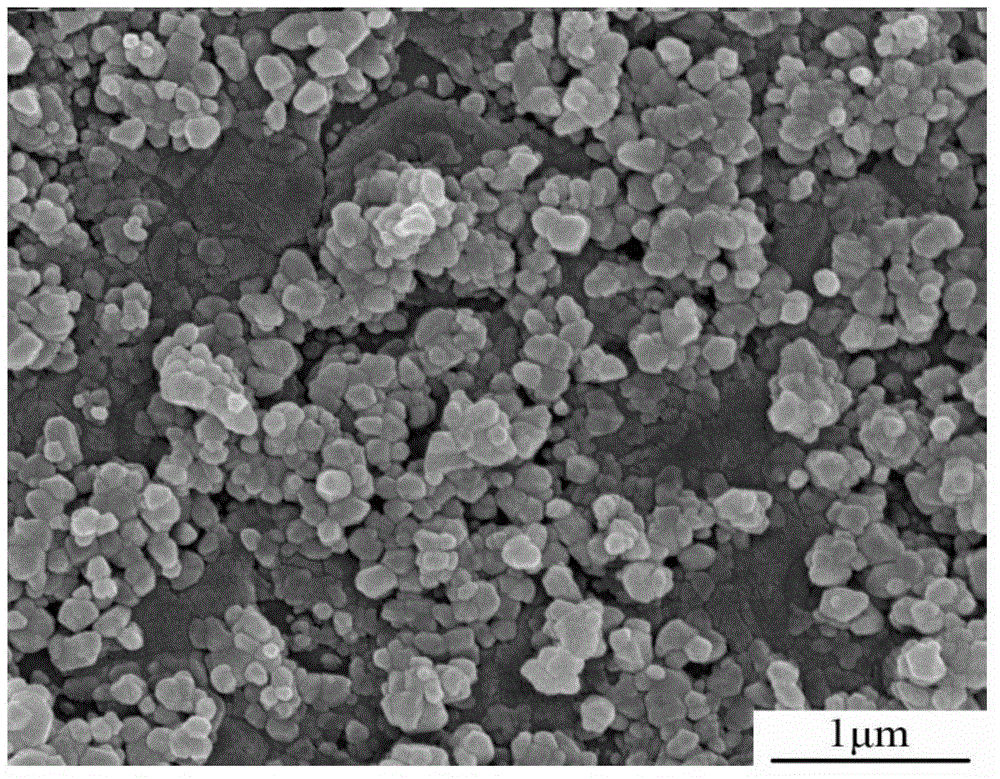 Method for preparing ferrous disulfide film by chemical bath deposition and vulcanization