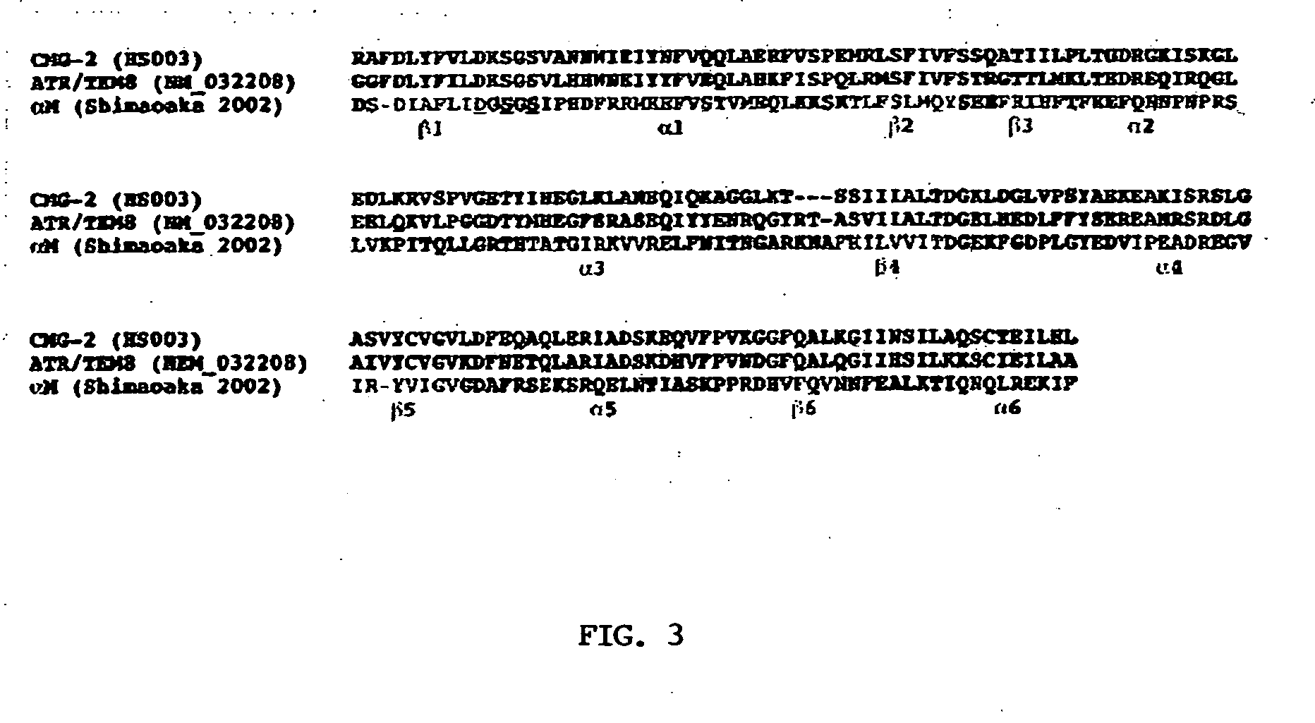 Anthrax antitoxins