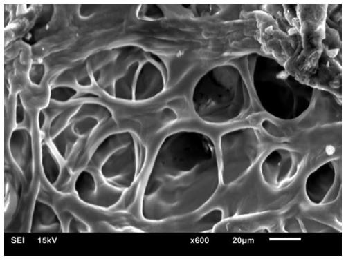 Polyurethane-based spray-type photocurable hydrogel dressing precursor and preparation method