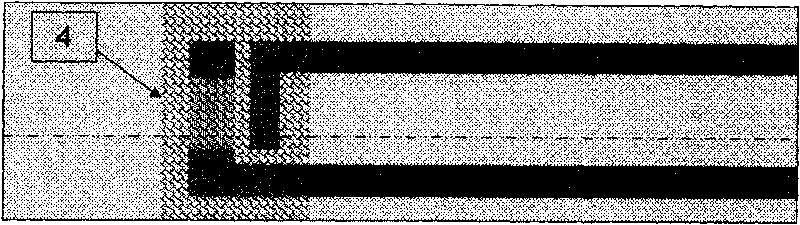 Dry enzyme method biochip/test strip