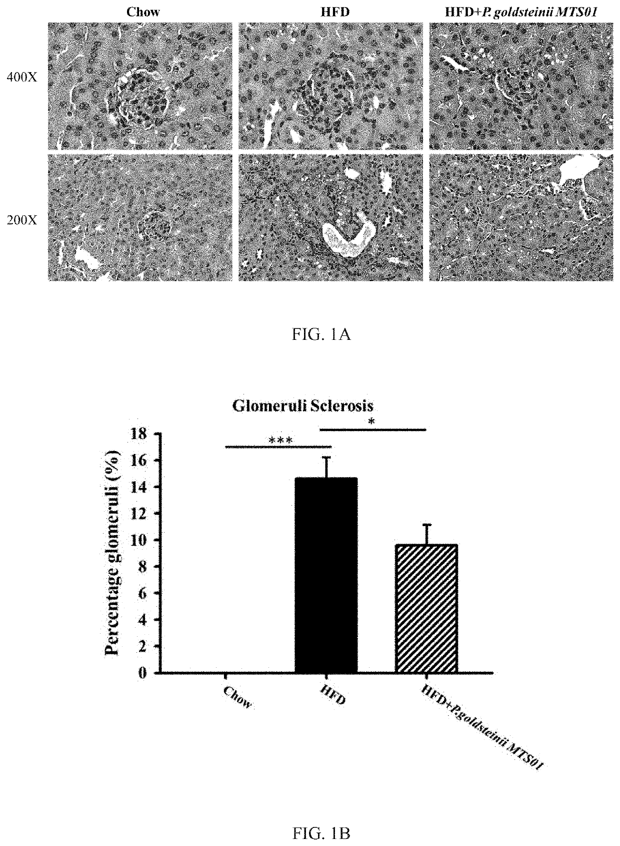 Method of ameliorating chronic kidney disease using parabacteroides goldsteinii