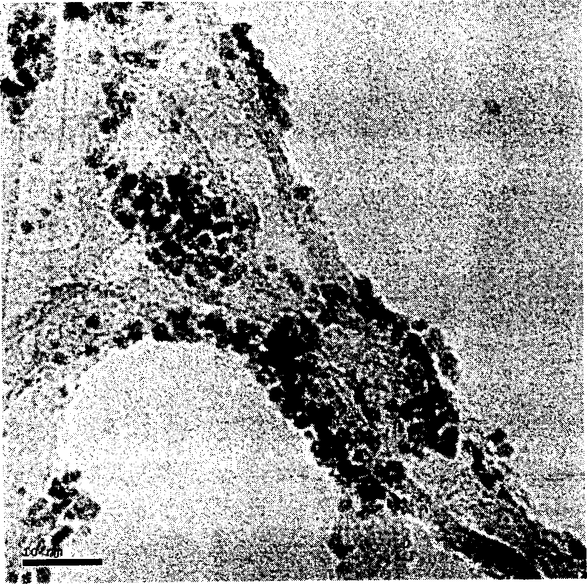 Carbon-carried platinum-based catalyst for fuel cell and its preparation method