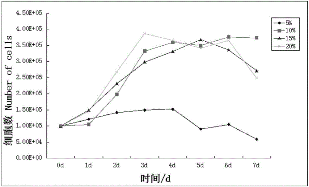 Constructing method and application of koi brain cell line