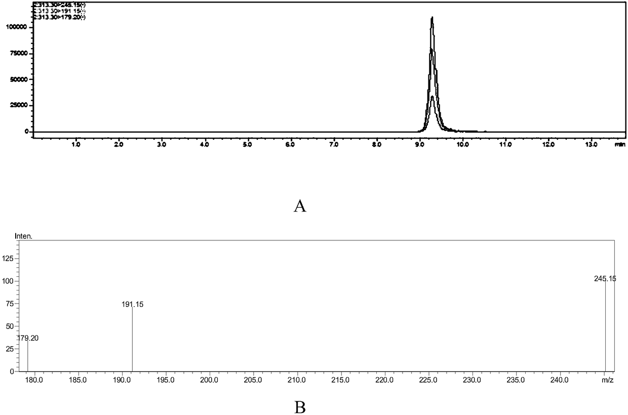 Extracting method and detecting method for hemp compounds in hair