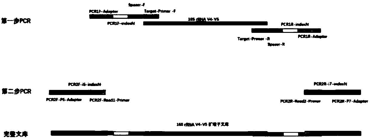 Primer set for building 16S rRNA gene amplicon sequencing library and building method