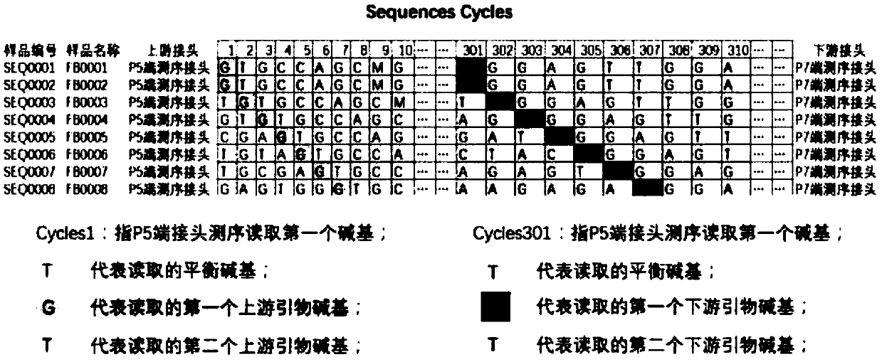 Primer set for building 16S rRNA gene amplicon sequencing library and building method