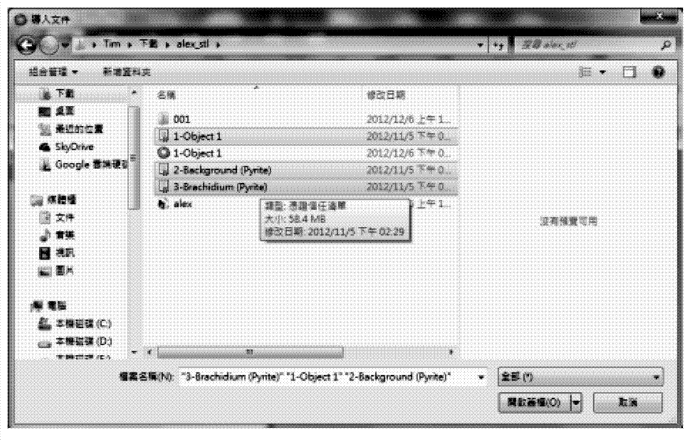 Data reduction method in manufacture of paleontological fossil structure inter-carven specimen