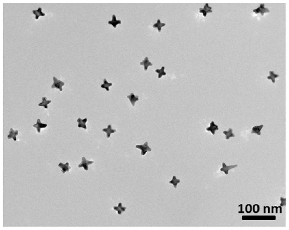 Eight-branched gold nanoparticles, preparation method, application and intermediate thereof