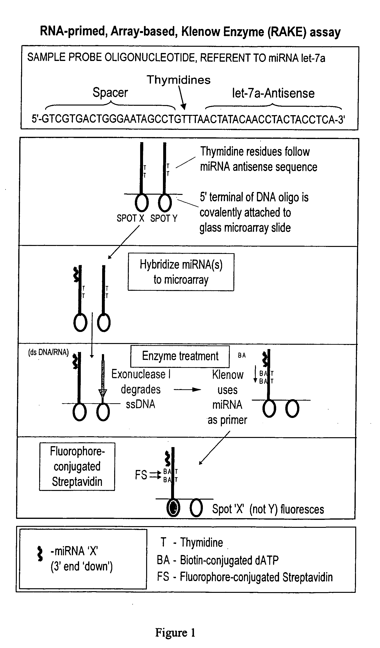 Novel microarray techniques for nucleic acid expression analyses