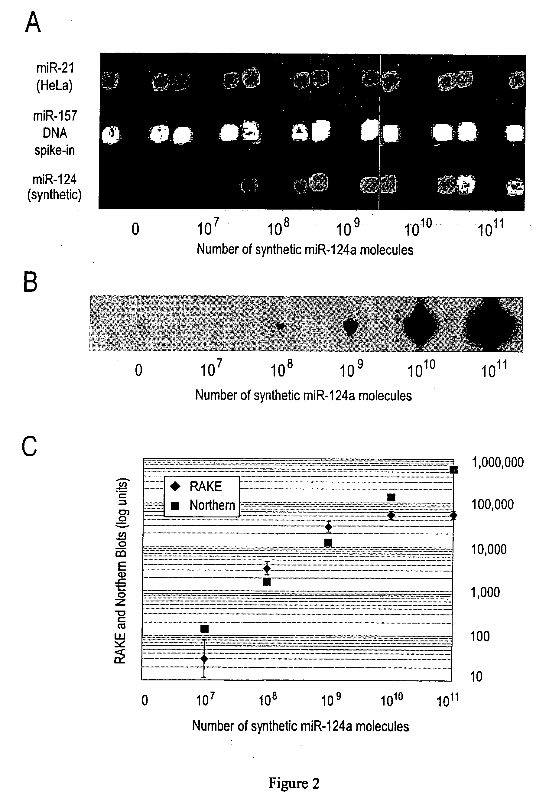 Novel microarray techniques for nucleic acid expression analyses