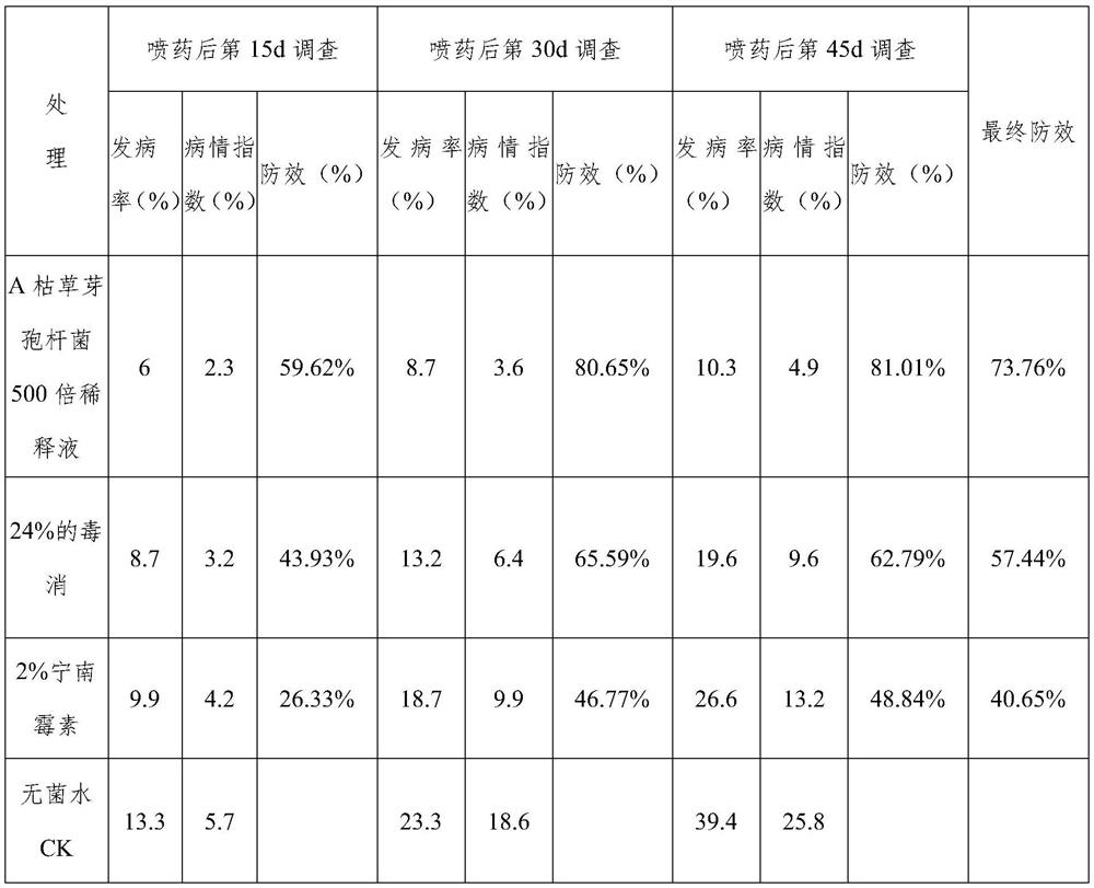 Preparation and prevention and treatment application of mycoprotein in bacillus subtilis fermentation product