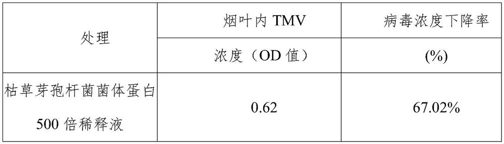 Preparation and prevention and treatment application of mycoprotein in bacillus subtilis fermentation product