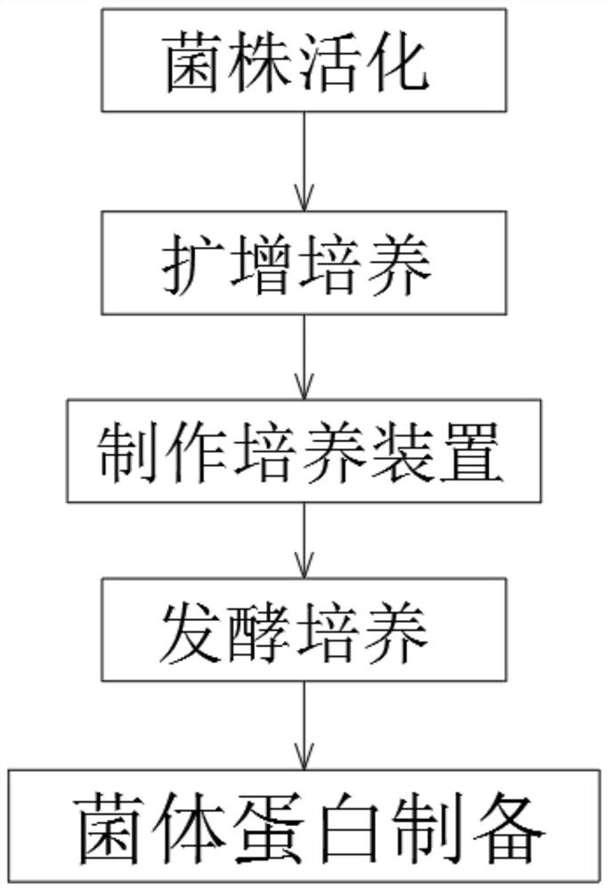 Preparation and prevention and treatment application of mycoprotein in bacillus subtilis fermentation product