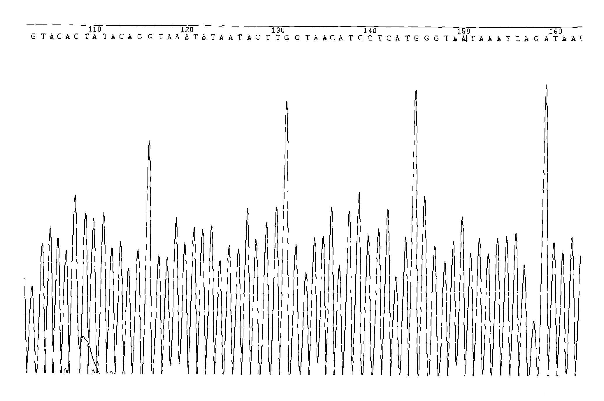 Kit for quantitatively detecting breast cancer resistance protein (BCRP) mutation