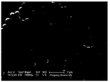 Preparation method of superhigh-specific-area monodisperse polymer microspheres