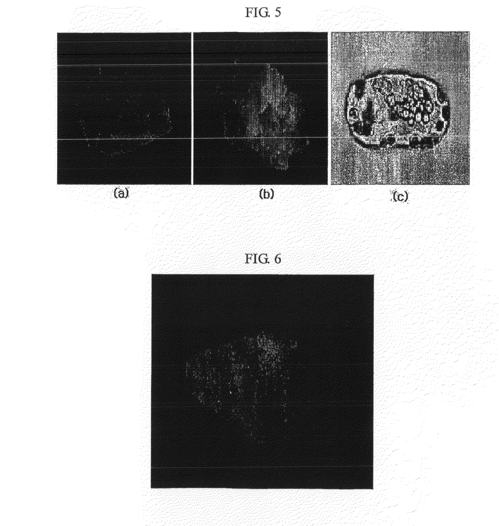 Plant stem cell line derived from cambium of herbaceious plant with storage root and method for isolating the same