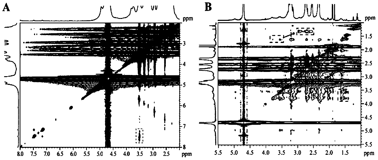 Preparation method of pH-responsive core-shell structure dendrimer drug carrier