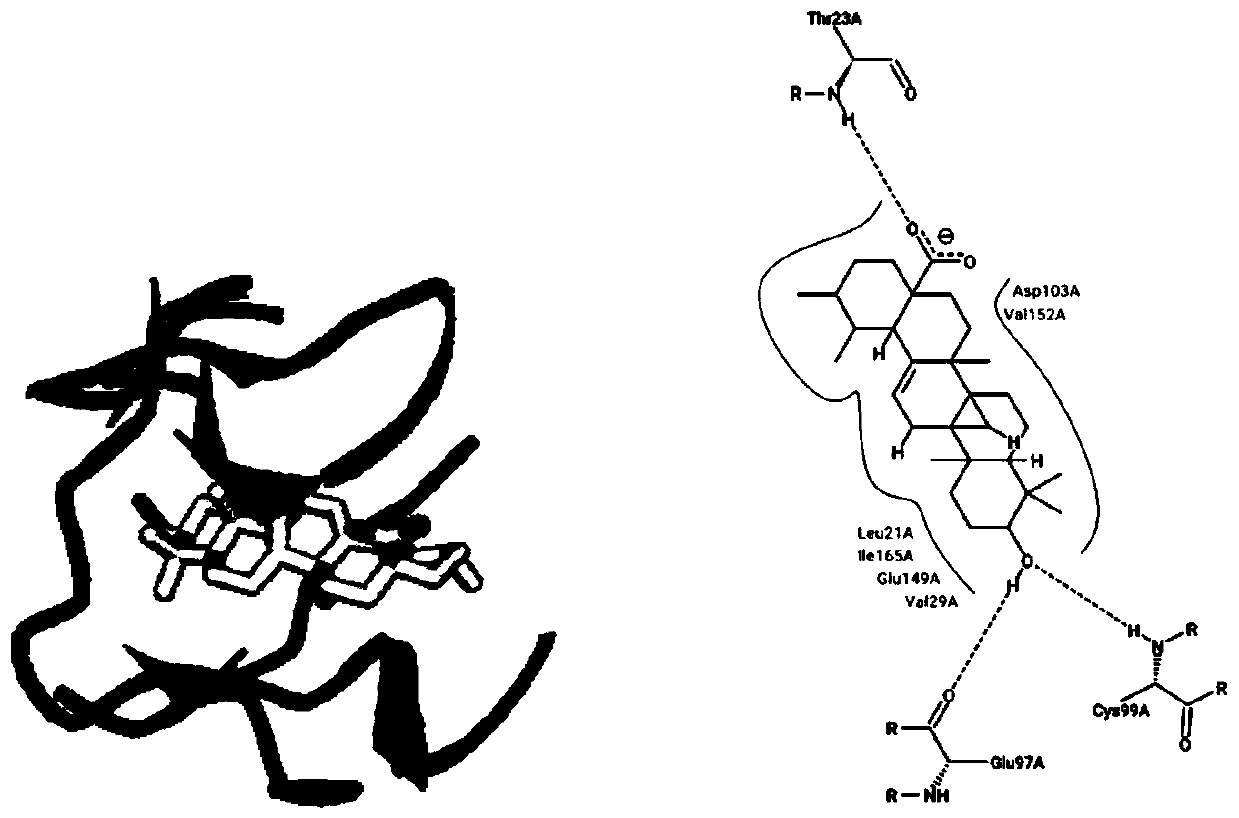 Virtual screening method of targeted IKK beta drug