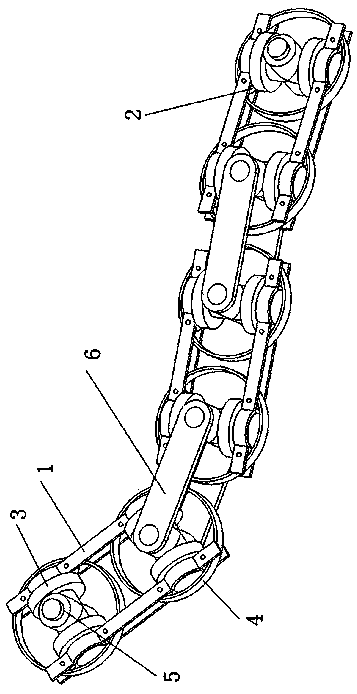 Bearing type universal chain