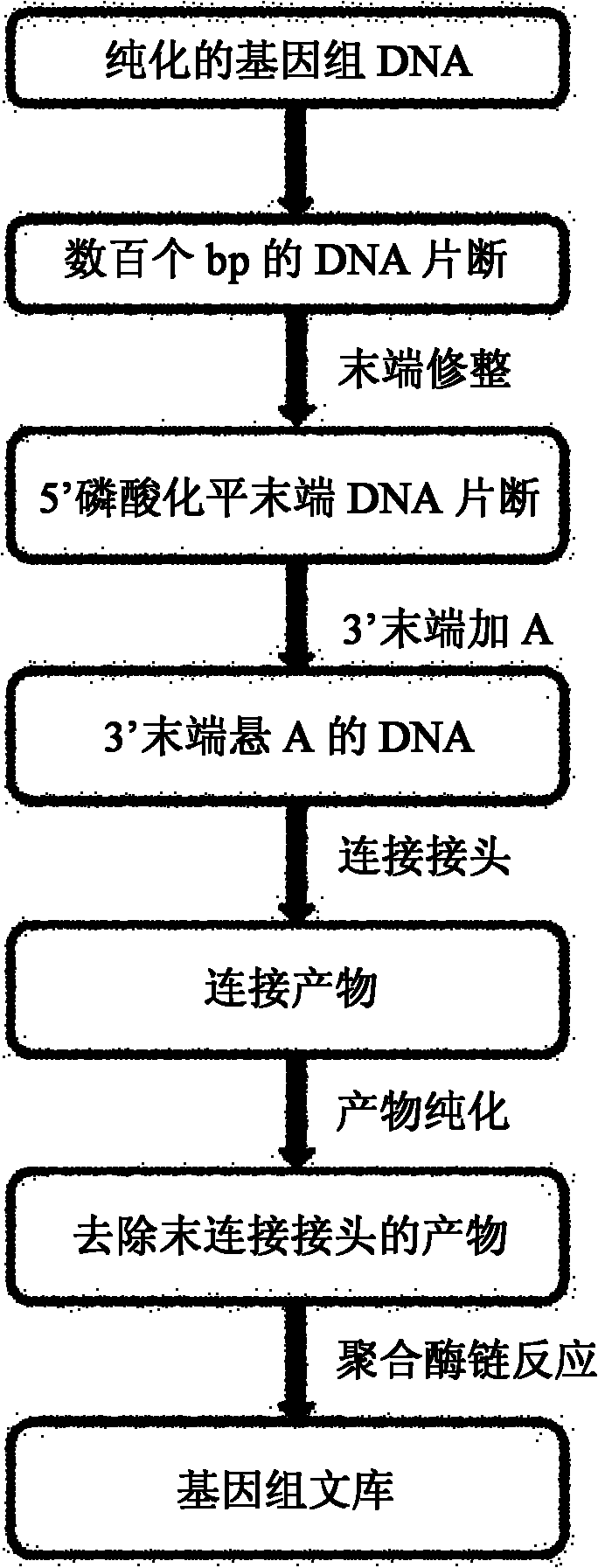 Multi-sample mixed sequencing method and kit