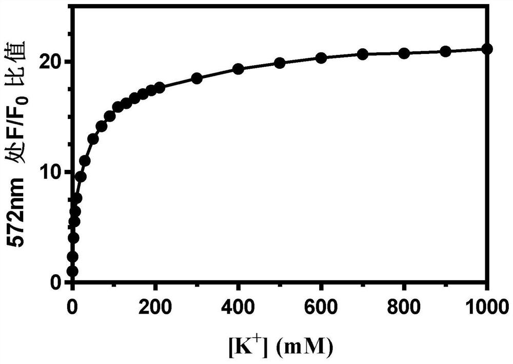 A kind of polymer potassium ion fluorescent probe and its preparation method and application