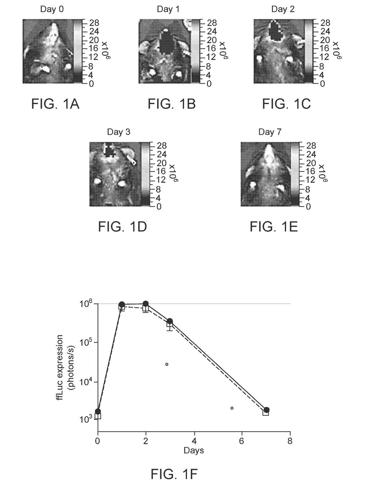 Compositions and methods for regulatable antibody expression