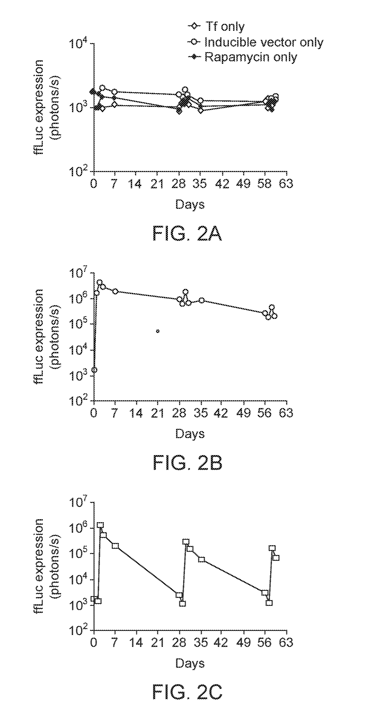 Compositions and methods for regulatable antibody expression