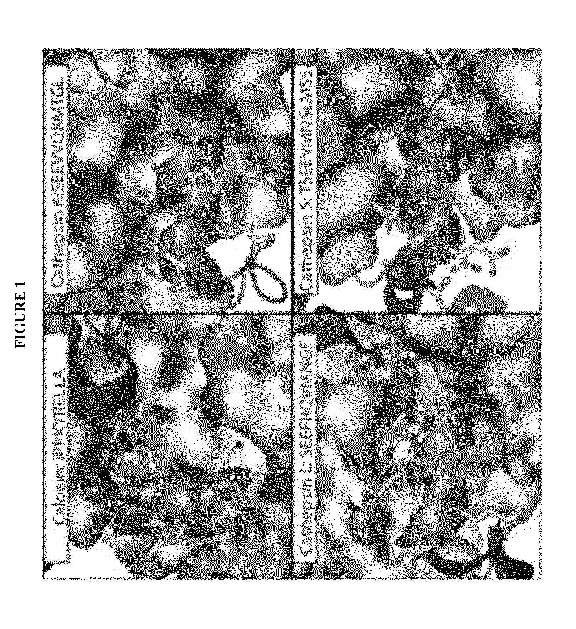 Novel Alpha-Helical Peptidomimetic Inhibitors And Methods Using Same