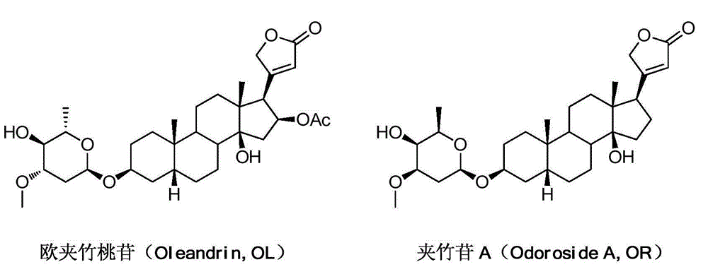 4'-amino-4'-dehydroxyl-oleandrin and 4'-amino-4'-dehydroxyl-odoroside A and use thereof