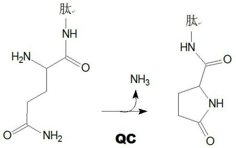 Novel inhibitors