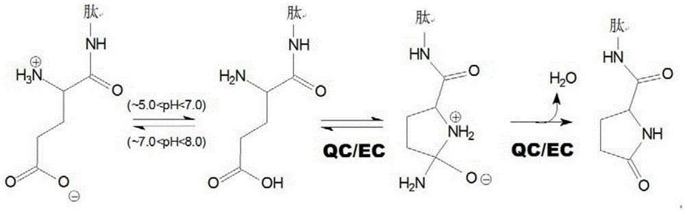 Novel inhibitors