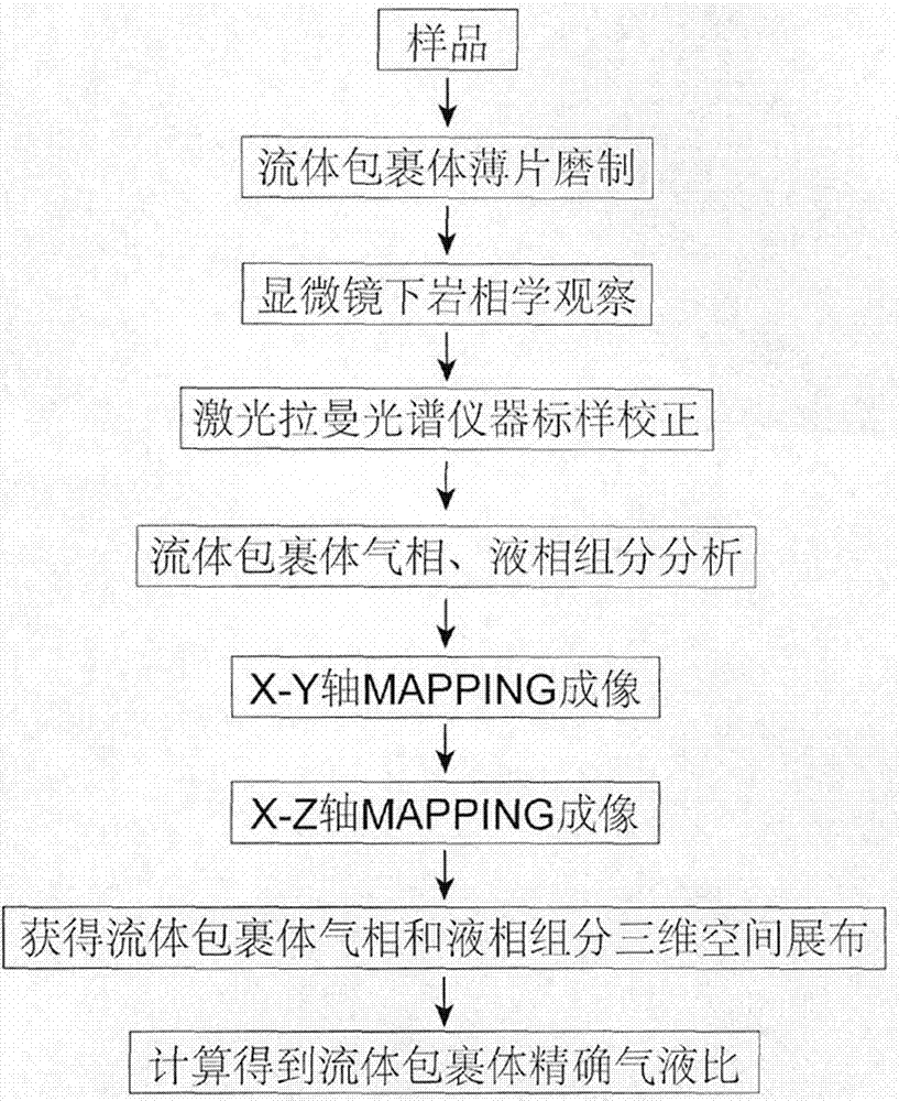 Method for determining vapor-liquid ratio of fluid inclusion based on laser Raman Mapping