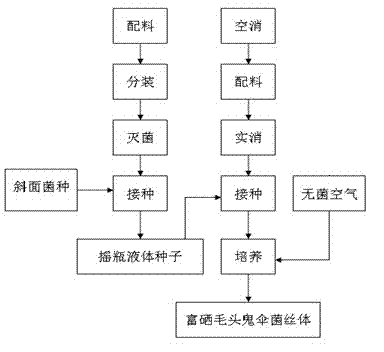 A kind of preparation method of selenium-enriched Coprinus comatus mycelium and bacterial powder thereof