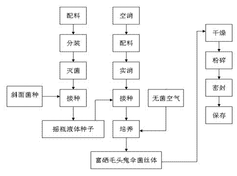 A kind of preparation method of selenium-enriched Coprinus comatus mycelium and bacterial powder thereof