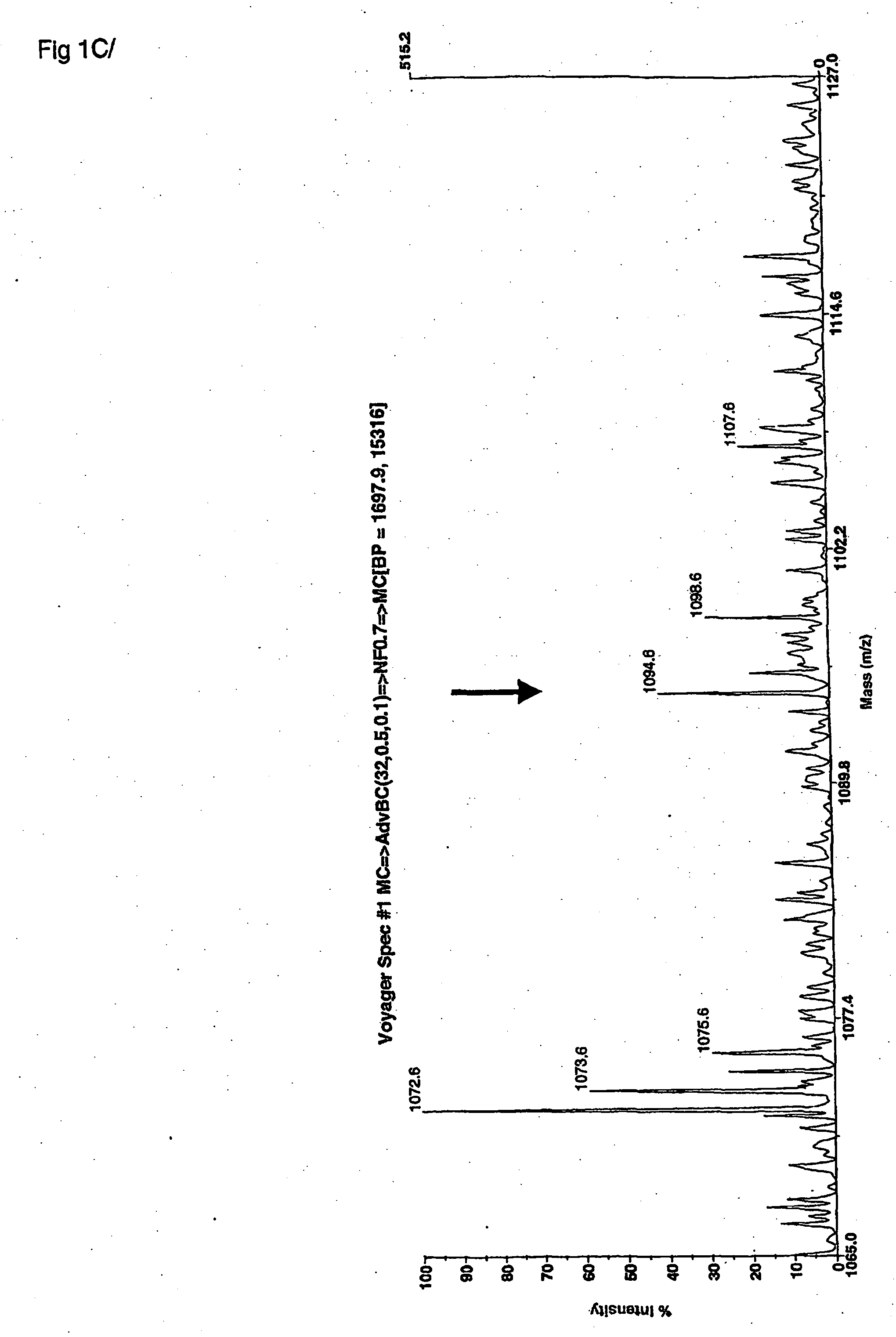 Elastin peptide fingerprints and analysis methods for mmp12 related to copd