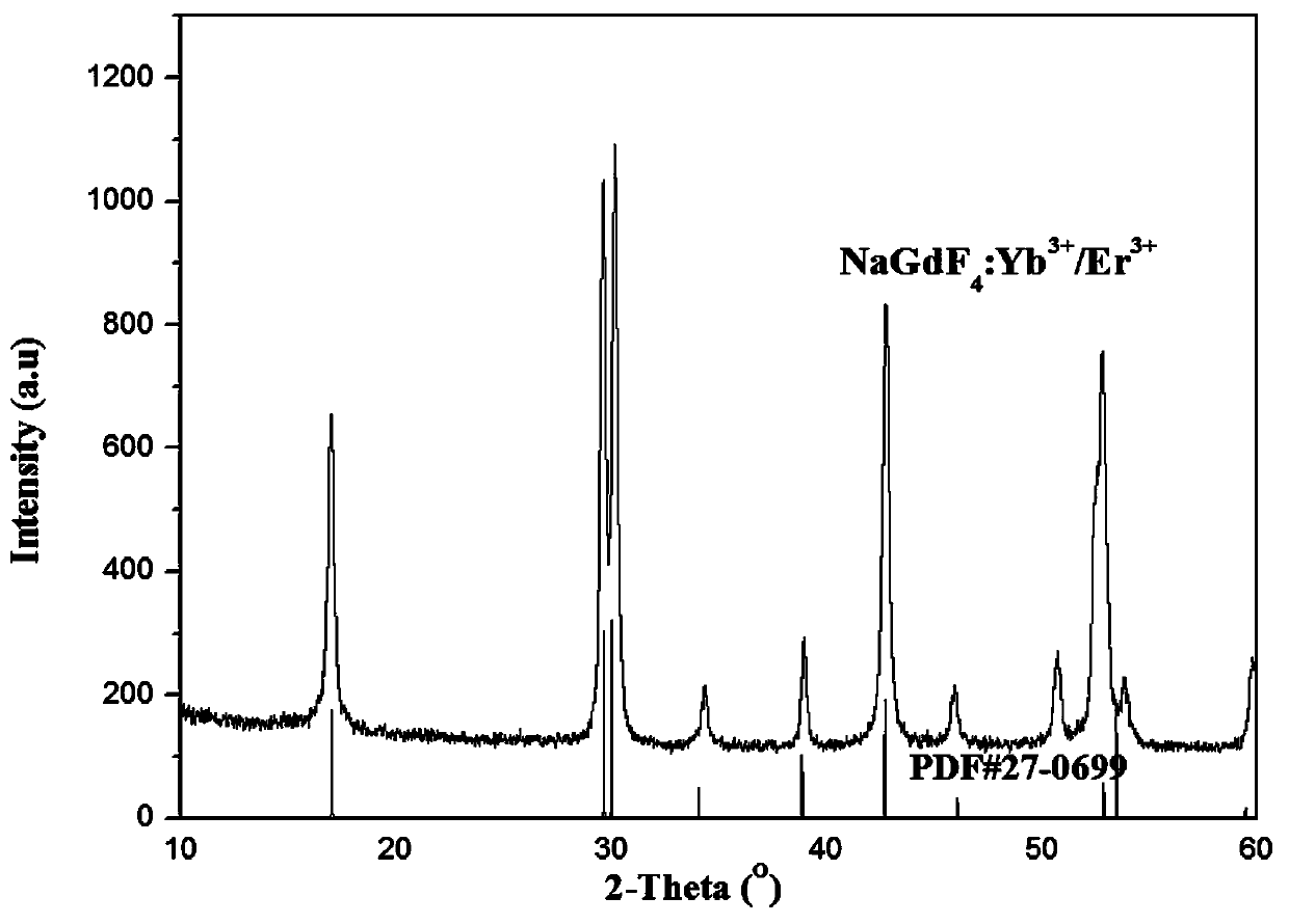 Method for preparing hexagonal rare earth tetrafluoride sodium salt material through low-temperature molten salt fluorination