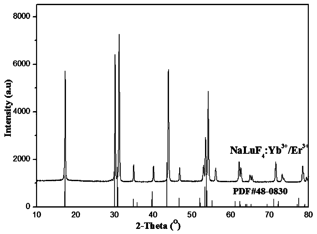 Method for preparing hexagonal rare earth tetrafluoride sodium salt material through low-temperature molten salt fluorination