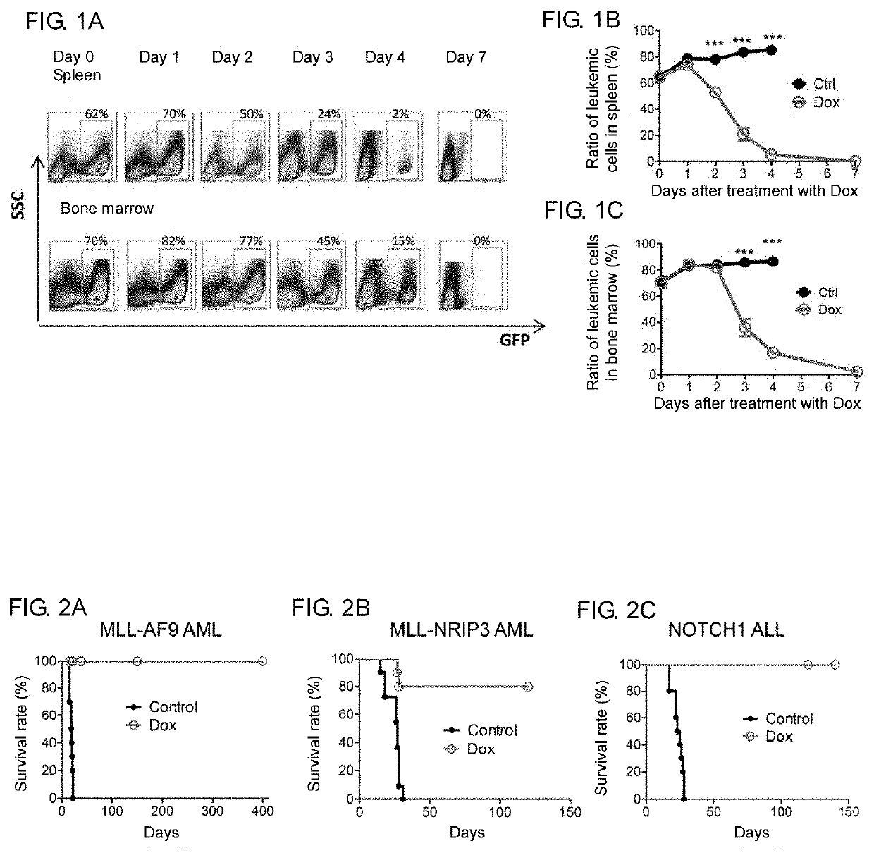 Method of treating leukemia utilizing somatic cell reprogramming