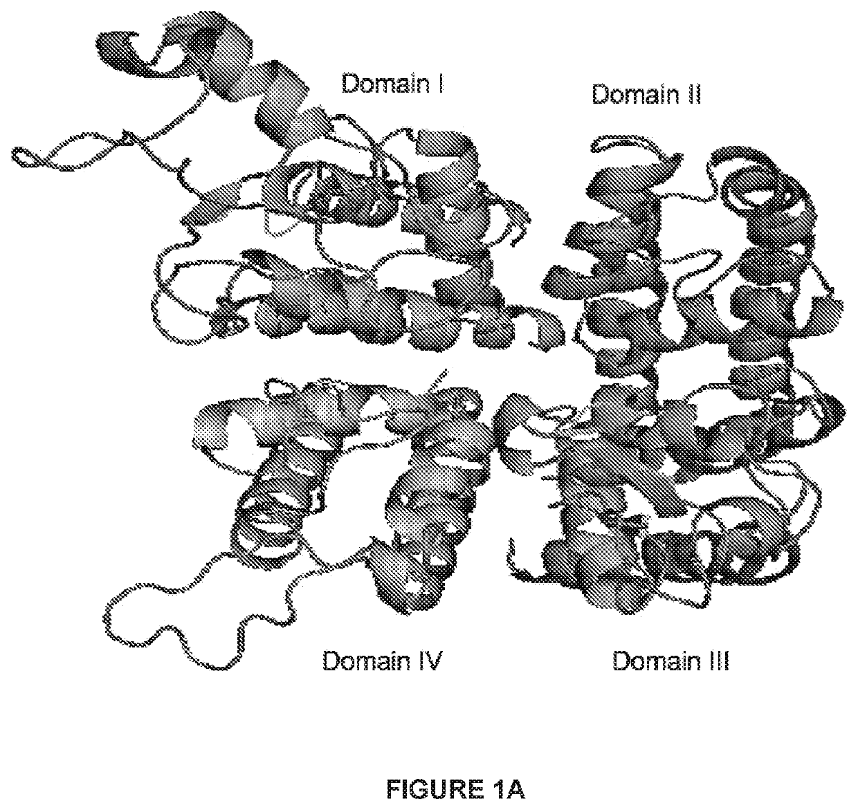 Methods and compounds for inhibition of inactivation of voltage-gated sodium channels