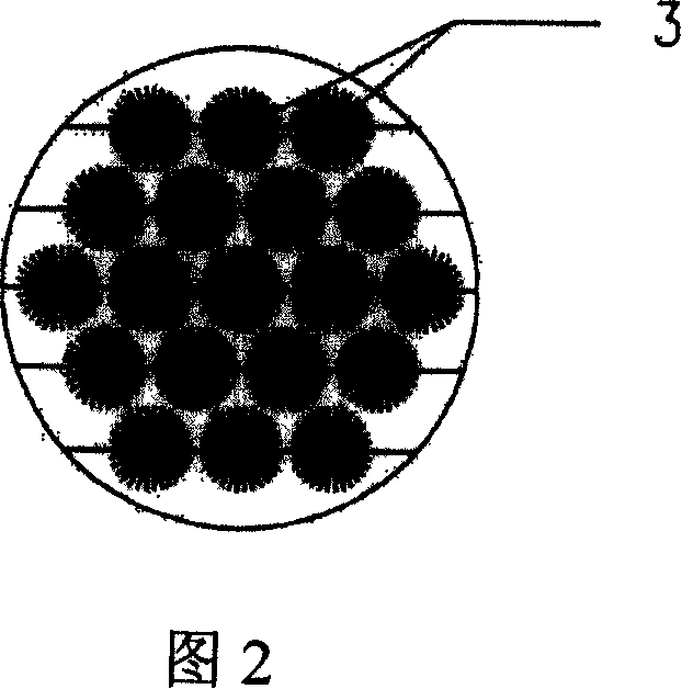 Sewage biological desulphurizing device