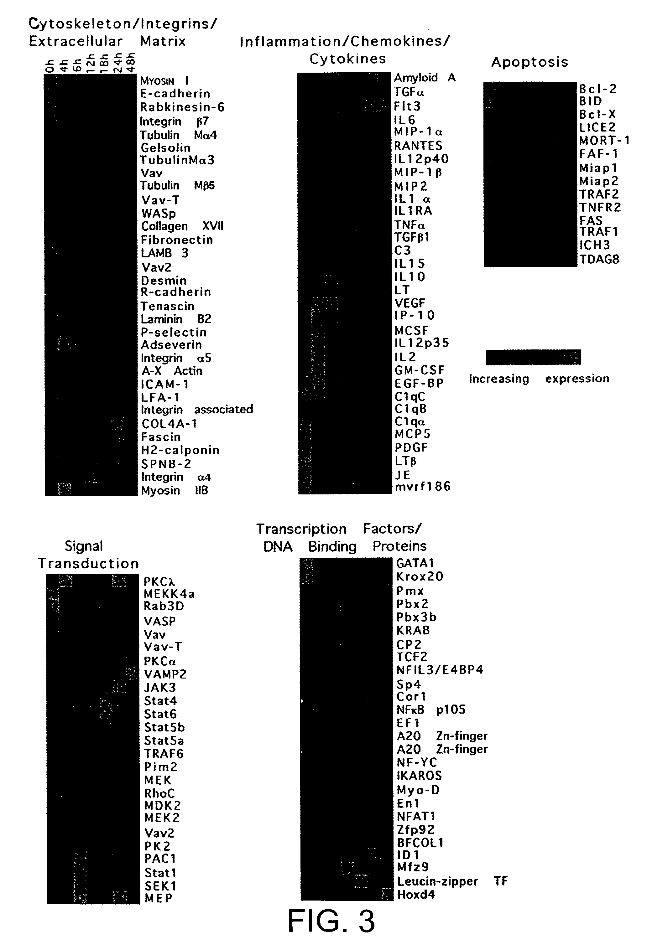 Dendritic cells and the uses thereof in screening cellular targets and potential drugs