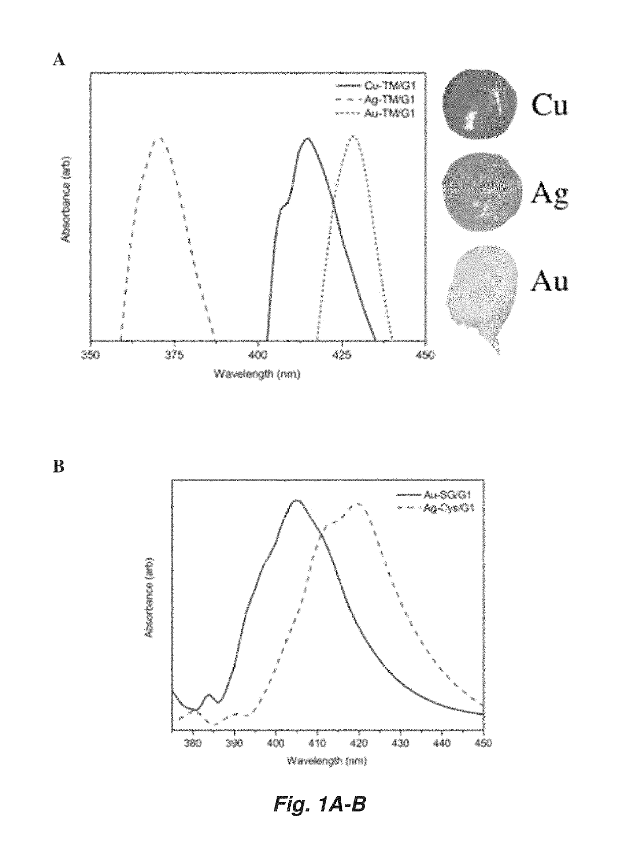 Reversible metallopolymer network