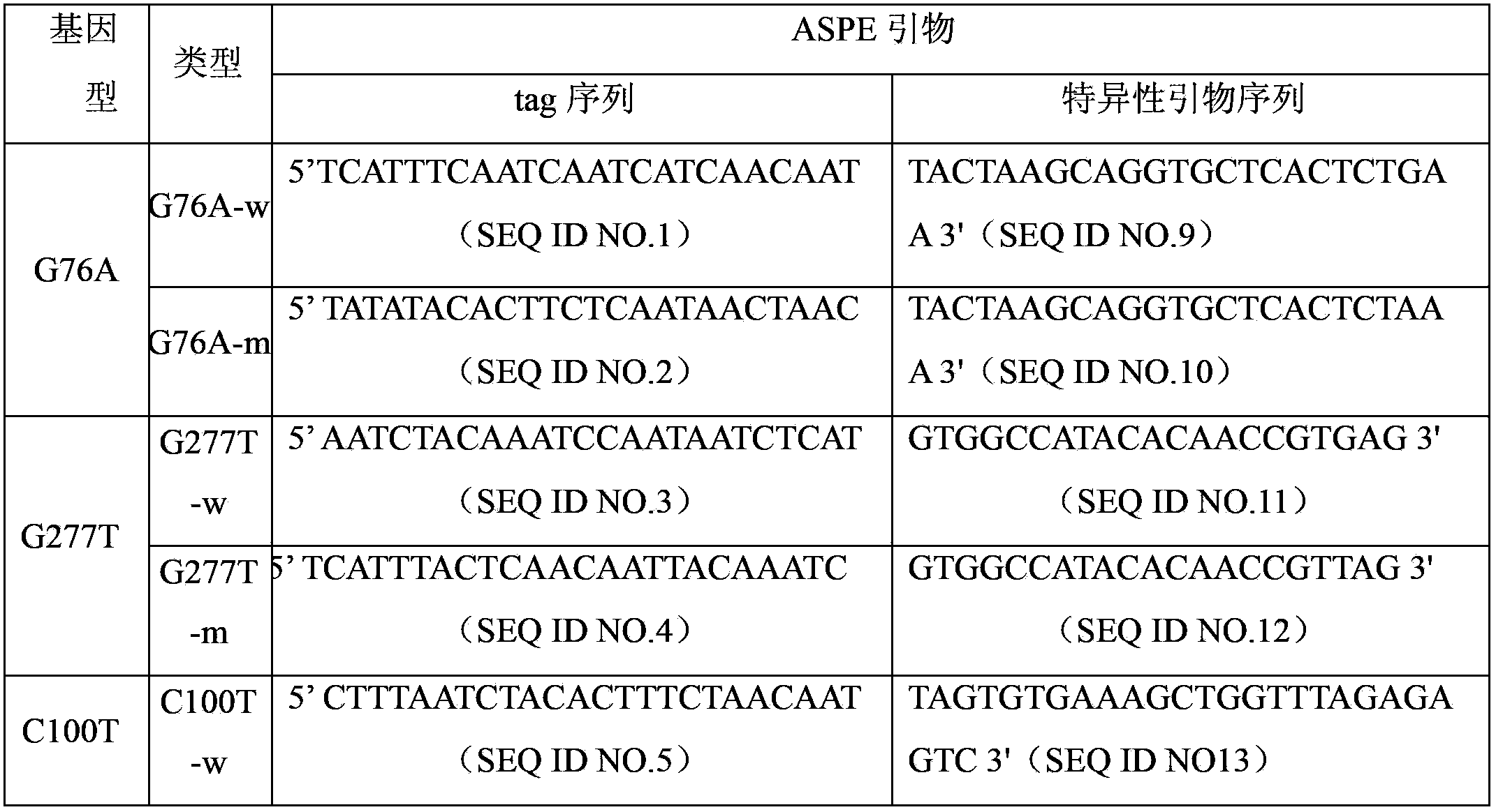 PDLIM5 gene mutation detection specific primer and liquid phase chip