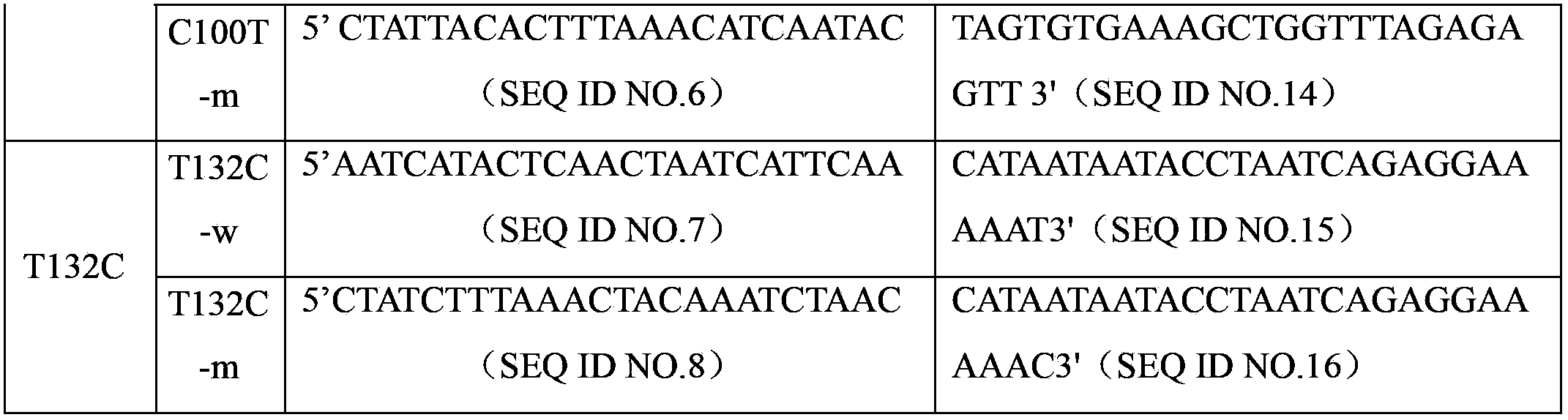 PDLIM5 gene mutation detection specific primer and liquid phase chip