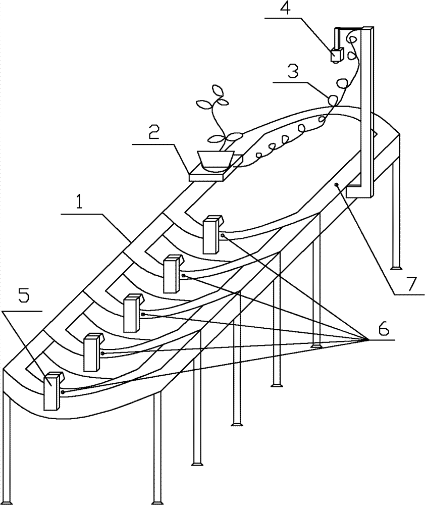 Automatic grading device of botrytis of solanaceous vegetables