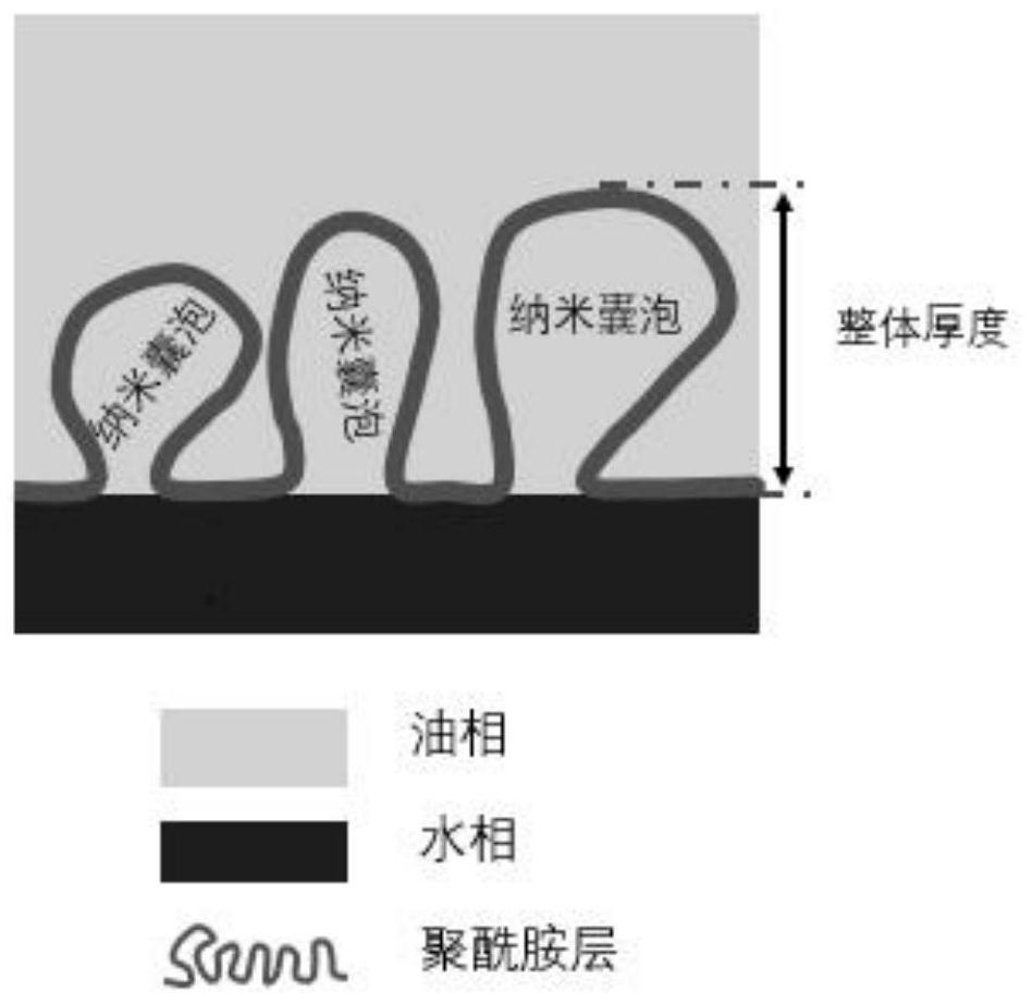 Preparation method of high-performance reverse osmosis membrane for promoting growth of polyamide nano vesicles